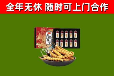 始兴县回收冬虫夏草价格