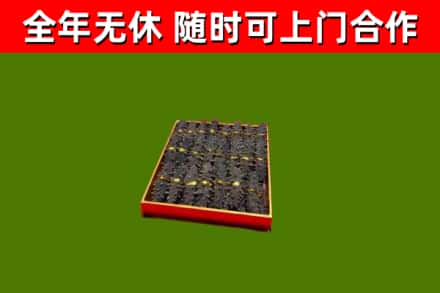 始兴县回收海参